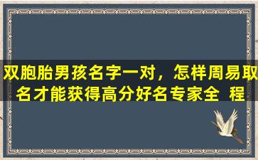 双胞胎男孩名字一对，怎样周易取名才能获得高分好名专家全  程指导，有何妙招